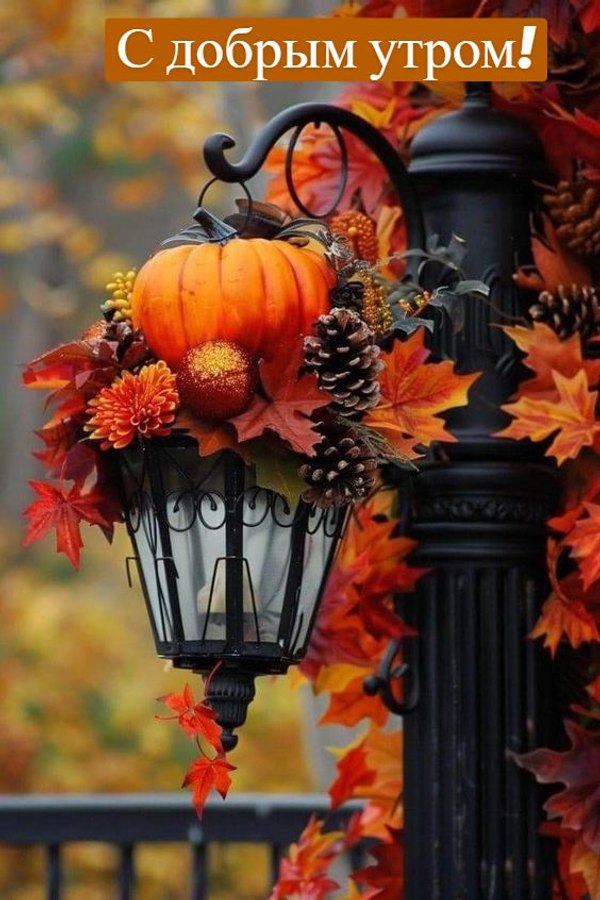 Изображение №6 564x846 из коллекции «Осенние открытки «С Добрым Утром!»»