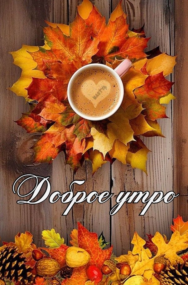Изображение №18 1017x1542 из коллекции «Осенние открытки «С Добрым Утром!»»