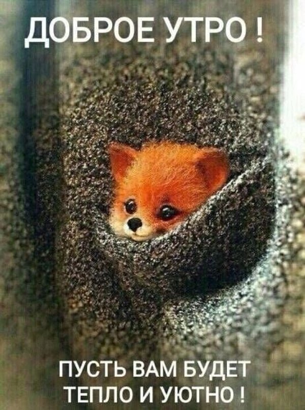 Изображение №13 463x622 из коллекции «Осенние открытки «С Добрым Утром!»»