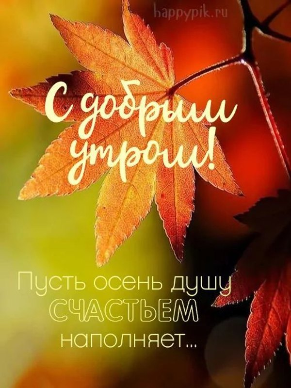 Изображение №24 500x667 из коллекции «Осенние открытки «С Добрым Утром!»»