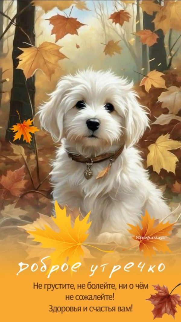 Изображение №42 720x1280 из коллекции «Осенние открытки «С Добрым Утром!»»