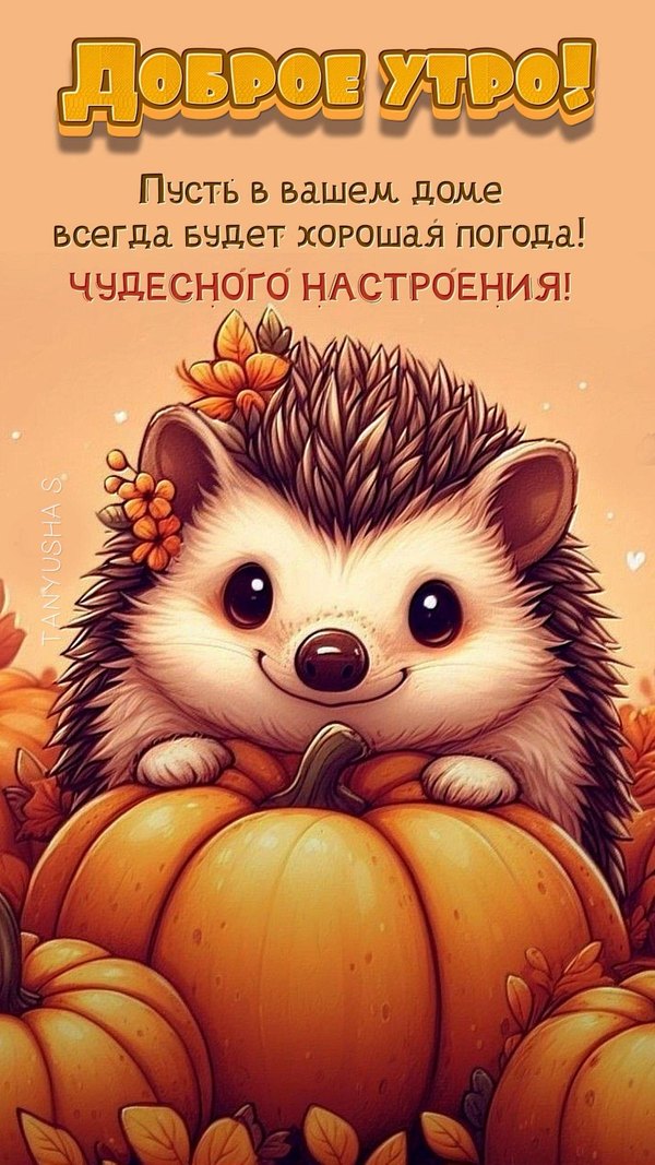 Изображение №7 1080x1920 из коллекции «Осенние открытки «С Добрым Утром!»»