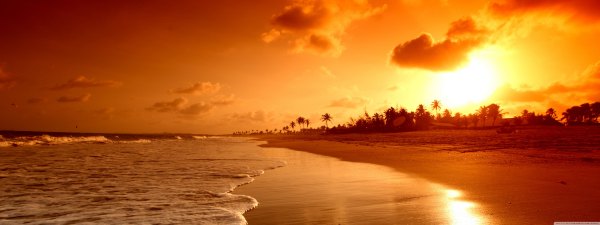 Изображение №26 5120x1920 «Закат на пляже, пальмы, широкоформатные» из коллекции «Обои для двух мониторов»