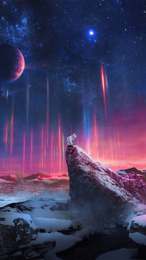 Изображение №18 1080x1920 «Красивый ночной пейзаж с волком» из коллекции «Обои Волки»