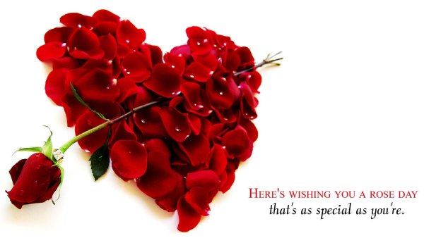 Изображение №40 1920x1080 «Сердце из лепестков роз» из коллекции «Обои Розы»