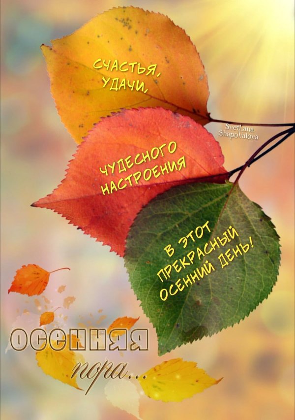 Изображение №12 1200x1705 «Счастья, удачи, чудесного настроения в этот осенний день!» из коллекции «Осенние открытки «Хорошего доброго дня!»»