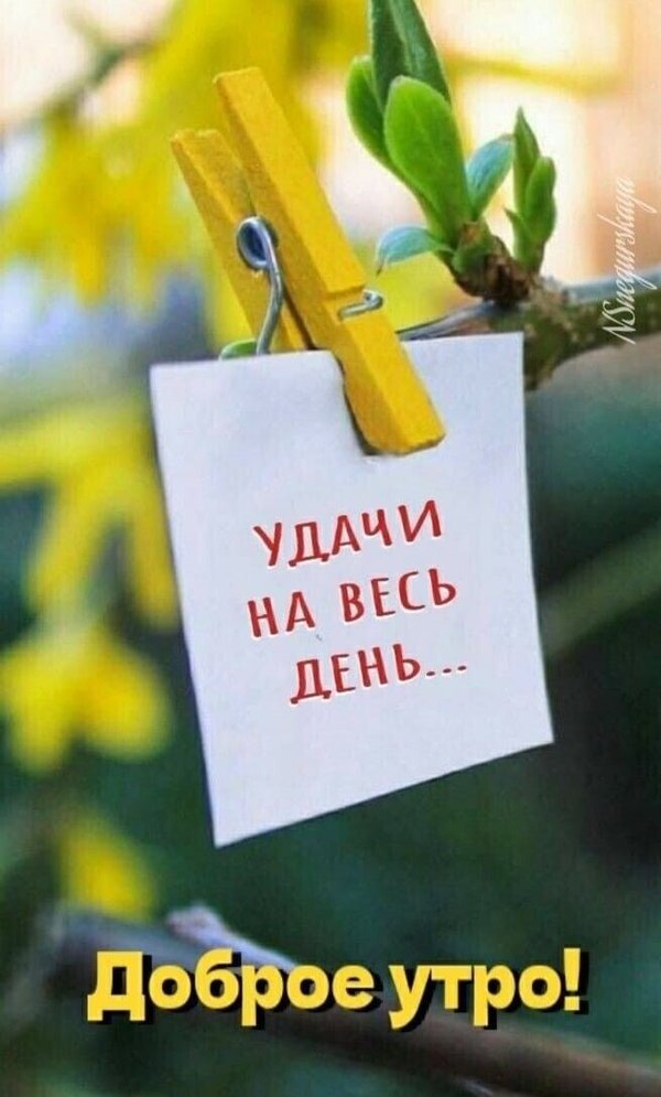 Изображение №24 656x1088 «Удачи на весь день! Доброе утро!» из коллекции «Открытки «С Добрым Утром!»»