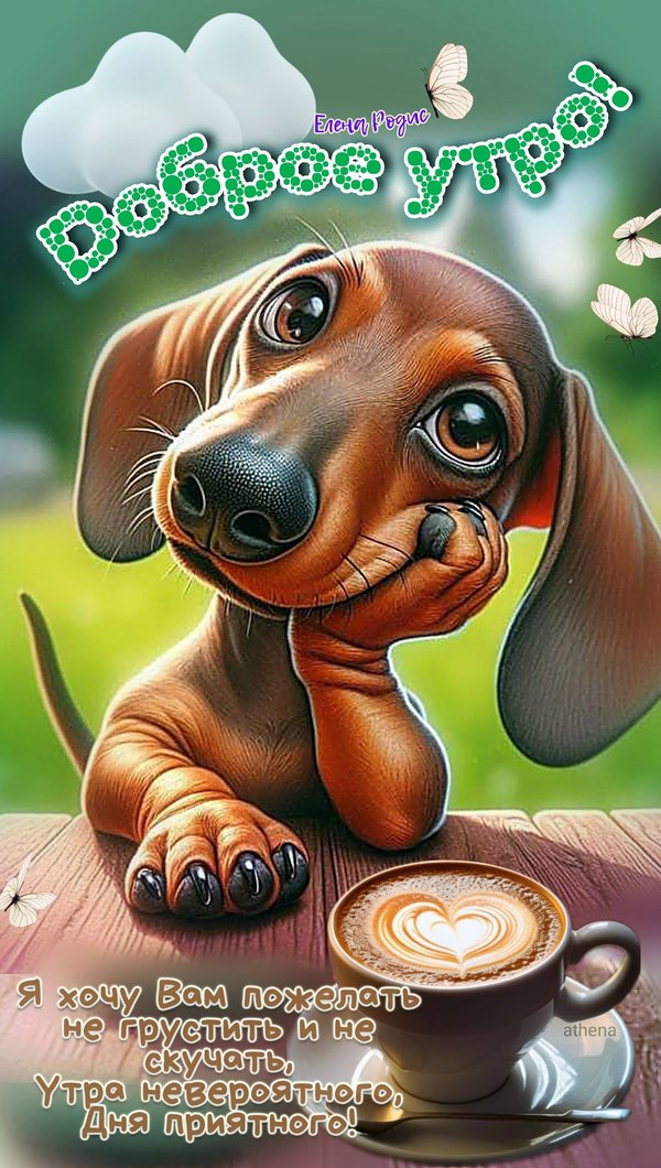Изображение №29 1200x2120  из коллекции «Открытки «С Добрым Утром!»»