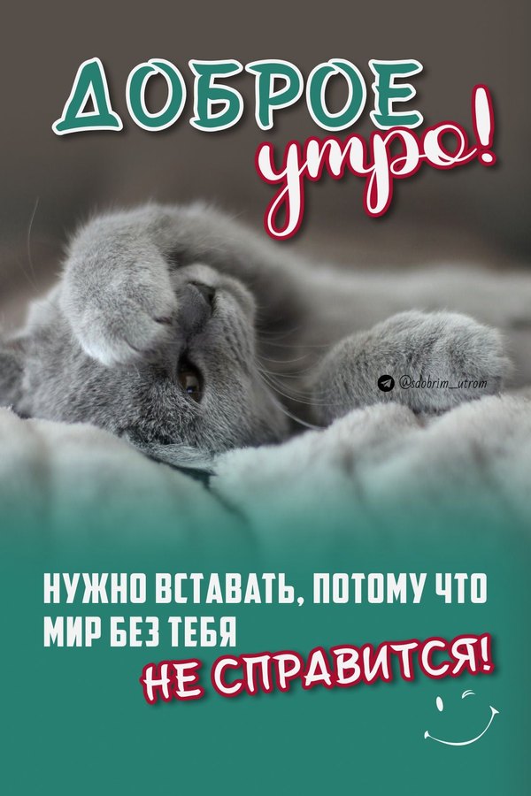 Изображение №37 1100x1650  из коллекции «Открытки «С Добрым Утром!»»