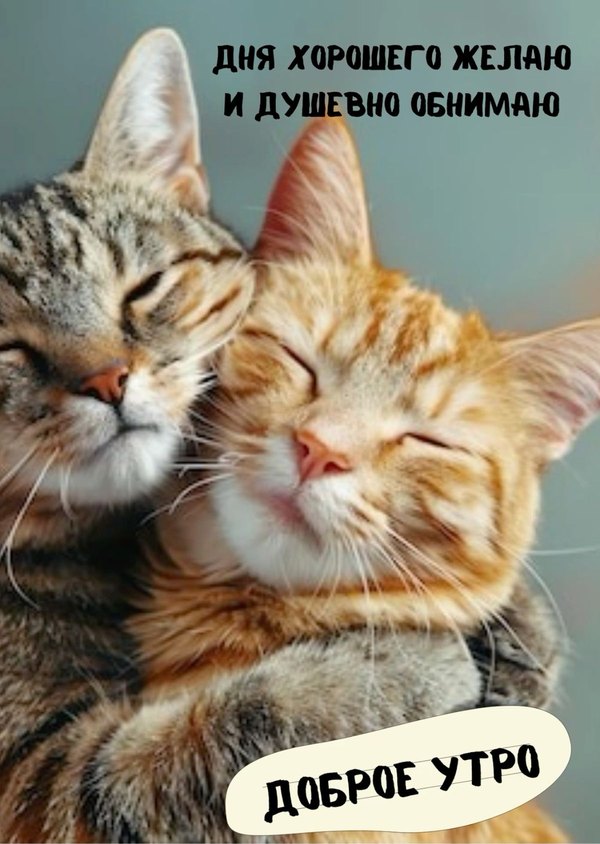 Изображение №71 1200x1688 «Дня хорошего желаю и душевно обнимаю!» из коллекции «Открытки «С Добрым Утром!»»