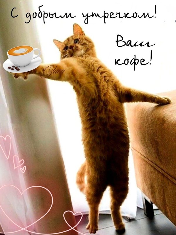 Изображение №79 960x1281 «С добрым утречком! Ваш кофе!» из коллекции «Открытки «С Добрым Утром!»»