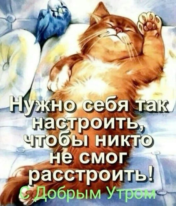 Изображение №45 1200x1408  из коллекции «Открытки «С Добрым Утром!»»