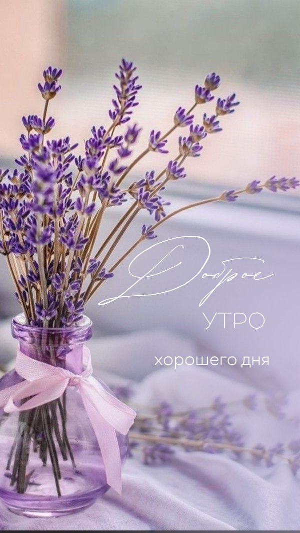 Изображение №16 1080x1920 «Доброе утро, хорошего дня!» из коллекции «Открытки «С Добрым Утром!»»