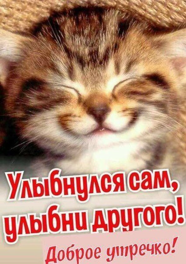 Изображение №65 426x604 «Улыбнулся сам, улыбни другого! Доброе утречко!» из коллекции «Открытки «С Добрым Утром!»»