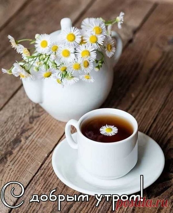 Изображение №47 660x812  из коллекции «Открытки «С Добрым Утром!»»