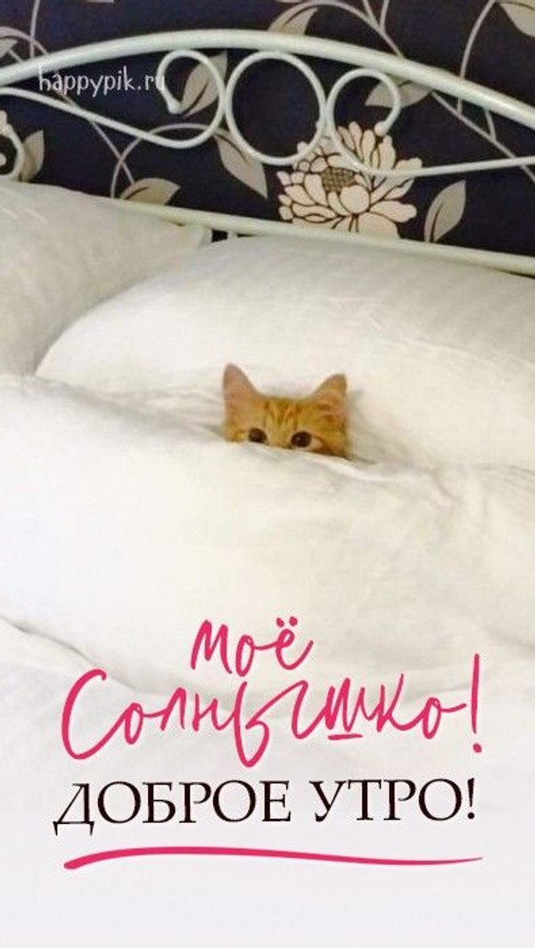 Изображение №77 395x700 «Моё солнышко! Доброе утро!» из коллекции «Открытки «С Добрым Утром!»»