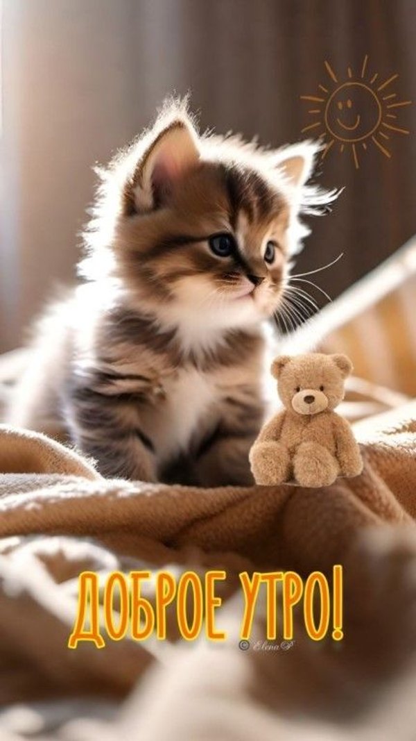 Изображение №73 432x768  из коллекции «Открытки «С Добрым Утром!»»
