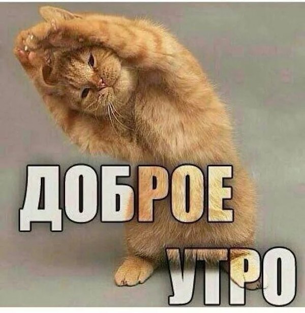 Изображение №90 588x604  из коллекции «Открытки «С Добрым Утром!»»