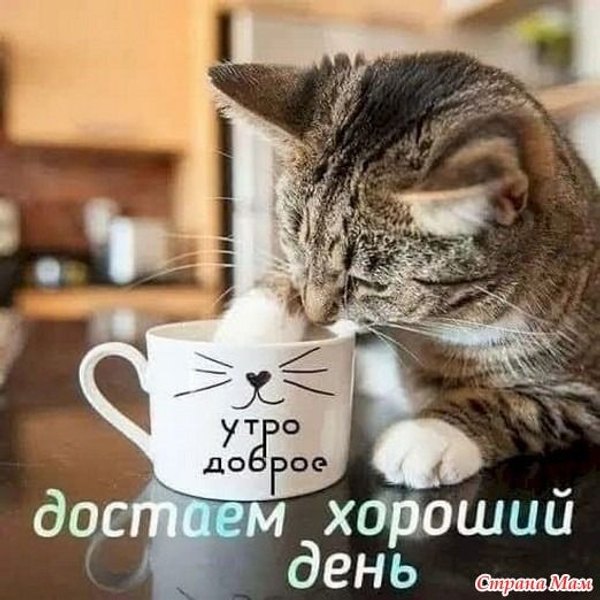 Изображение №49 522x522 «Достаем хороший день» из коллекции «Открытки «С Добрым Утром!»»