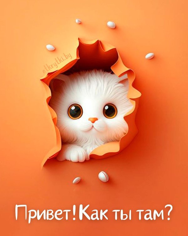 Изображение №74 1080x1350 «Привет! Как ты там?» из коллекции «Открытки «Привет!»»