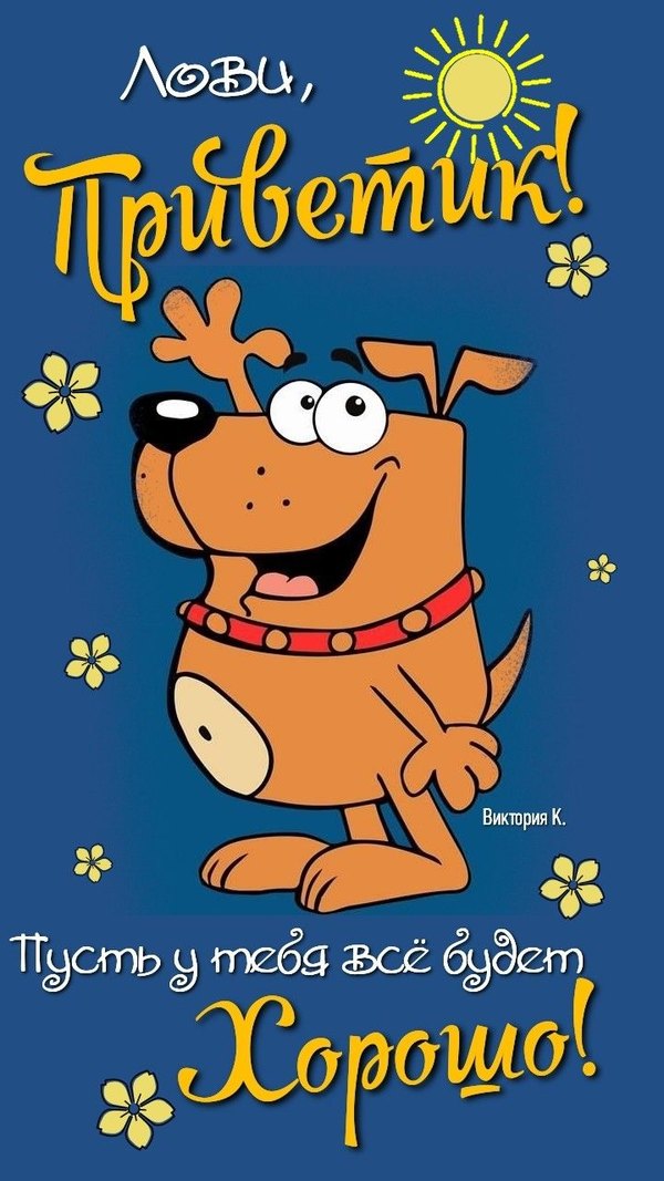 Изображение №48 720x1280 «Лови Приветик!» из коллекции «Открытки «Привет!»»