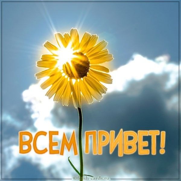 Изображение №44 600x600  из коллекции «Открытки «Привет!»»