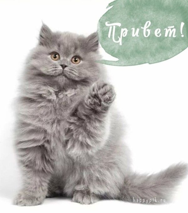 Изображение №57 610x690  из коллекции «Открытки «Привет!»»