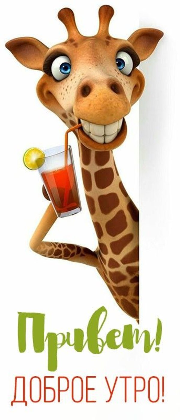 Изображение №29 344x800 «Привет! Доброе утро!» из коллекции «Открытки «Привет!»»