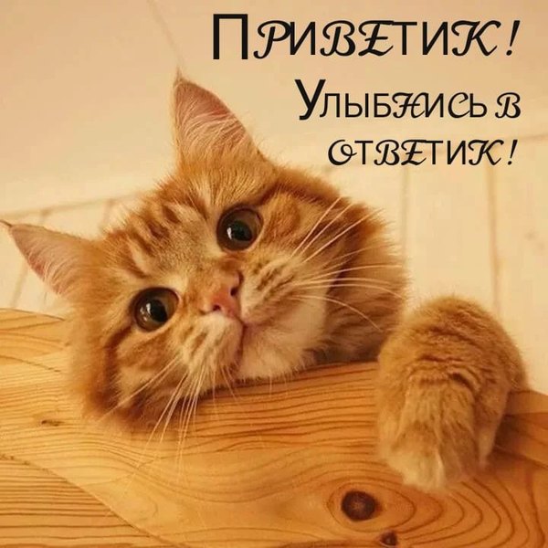 Изображение №28 720x720 «Приветик! Улыбнись в ответик!» из коллекции «Открытки «Привет!»»