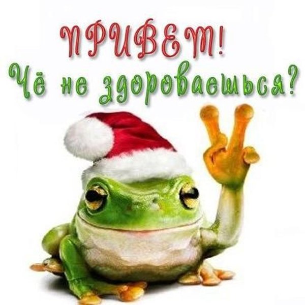 Изображение №65 440x440 «Привет, чё не здороваешься?» из коллекции «Открытки «Привет!»»