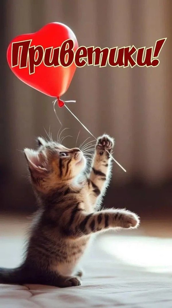 Изображение №61 673x1200 «Приветики!» из коллекции «Открытки «Привет!»»