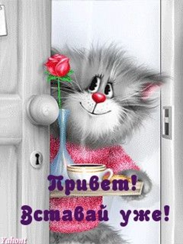 Изображение №53 240x320 «Привет! Вставай уже!» из коллекции «Открытки «Привет!»»