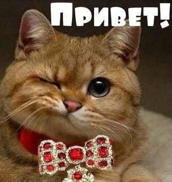 Изображение №63 337x357  из коллекции «Открытки «Привет!»»