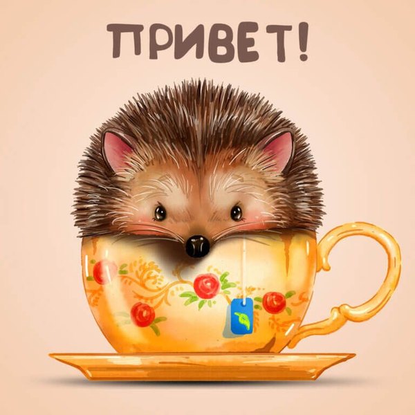 Изображение №80 768x768  из коллекции «Открытки «Привет!»»