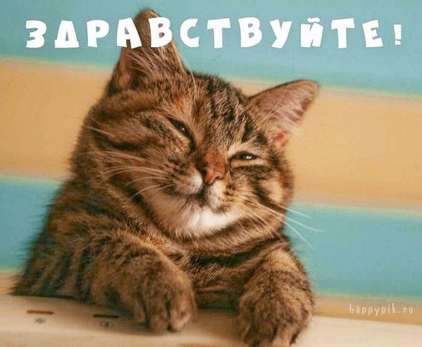 Изображение №54 672x552 «Здравствуйте!» из коллекции «Открытки «Привет!»»