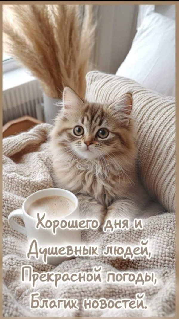 Изображение №47 720x1280  из коллекции «Открытки «Хорошего дня!»»