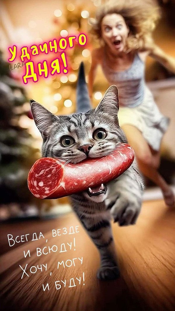 Изображение №49 736x1308 «Смешная открытка Удачного дня!» из коллекции «Открытки «Хорошего дня!»»