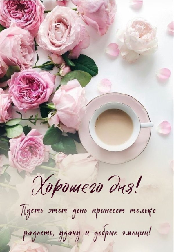 Изображение №45 828x1200  из коллекции «Открытки «Хорошего дня!»»