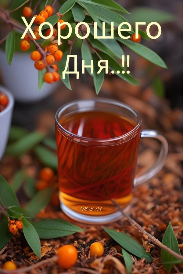 Изображение №57 1187x1771  из коллекции «Открытки «Хорошего дня!»»