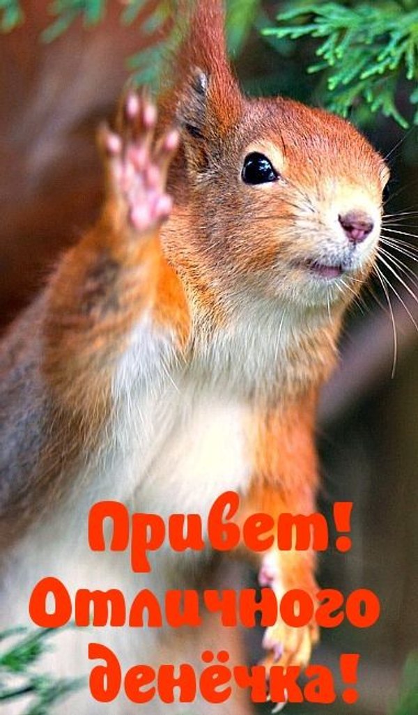 Изображение №59 380x650 «Привет! Отличного денечка!» из коллекции «Открытки «Хорошего дня!»»