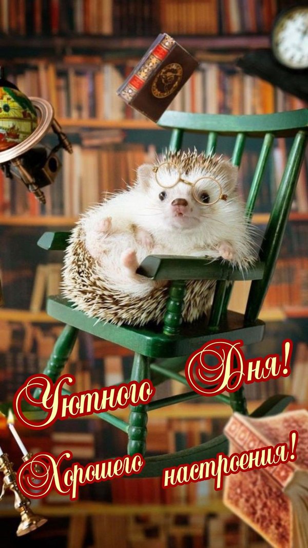 Изображение №103 1080x1921 «Уютного дня! Хорошего настроения!» из коллекции «Открытки «Хорошего дня!»»