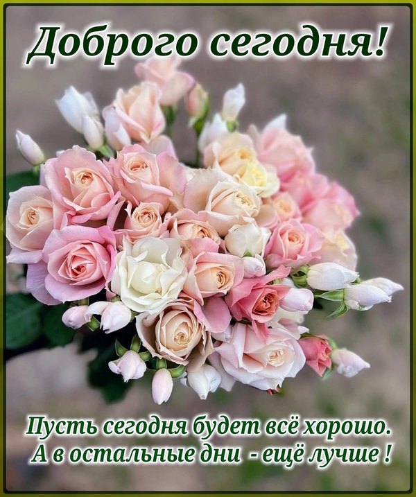 Изображение №13 1200x1434 «Доброго сегодня!» из коллекции «Открытки «Хорошего дня!»»
