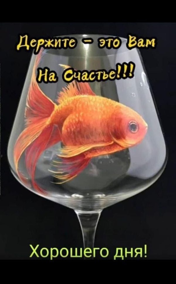 Изображение №31 576x928 «Это вам на счастье! Хорошего дня!» из коллекции «Открытки «Хорошего дня!»»