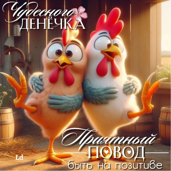 Изображение №73 736x736 «Открытка Чудесного денечка!» из коллекции «Открытки «Хорошего дня!»»