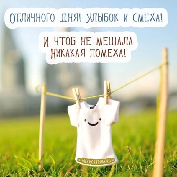 Изображение №100 440x440 «Отличного дня! Улыбок и смеха!» из коллекции «Открытки «Хорошего дня!»»