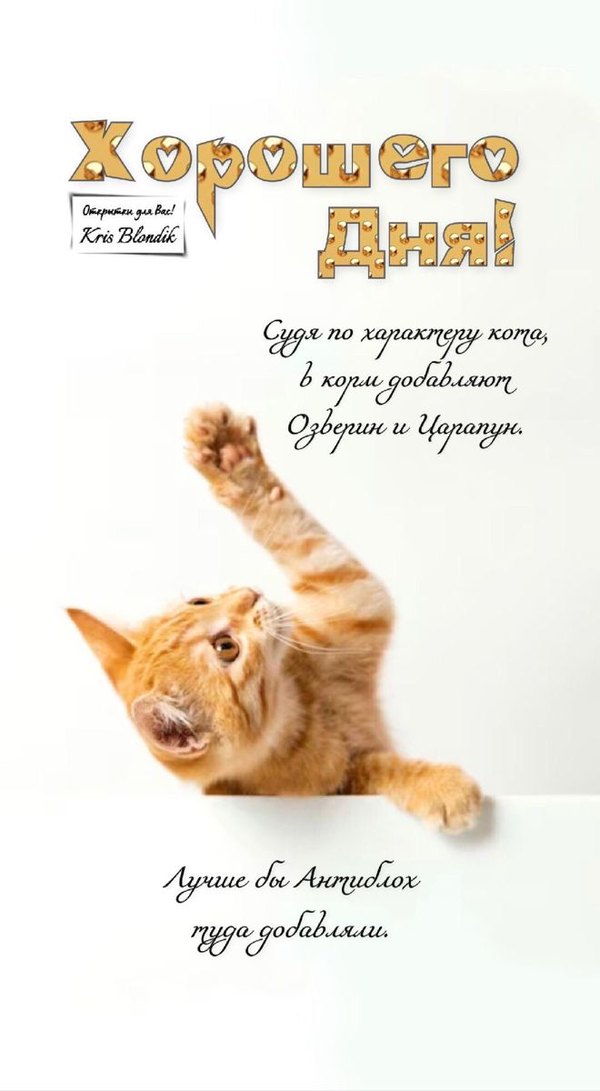 Изображение №87 660x1200  из коллекции «Открытки «Хорошего дня!»»