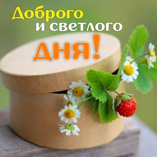 Изображение №24 850x849 «Доброго и светлого дня!» из коллекции «Открытки «Хорошего дня!»»