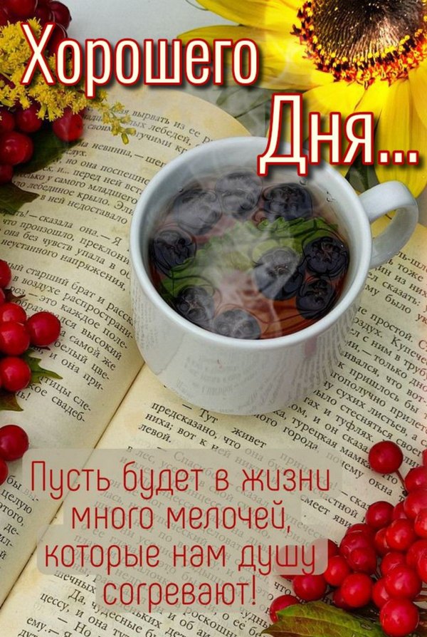 Изображение №34 1080x1609  из коллекции «Открытки «Хорошего дня!»»