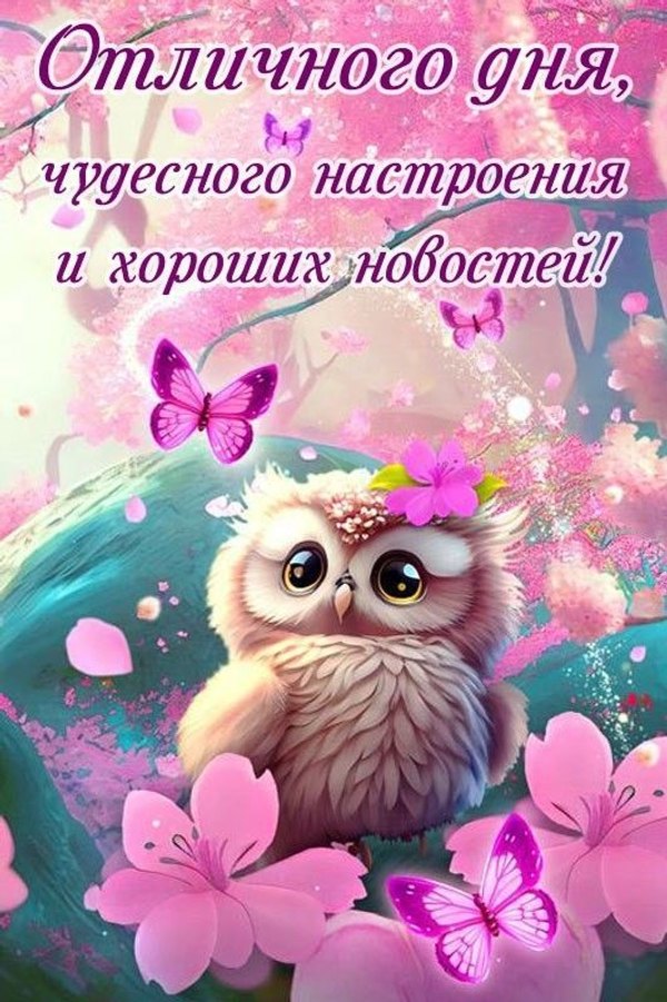 Изображение №78 533x800  из коллекции «Открытки «Хорошего дня!»»