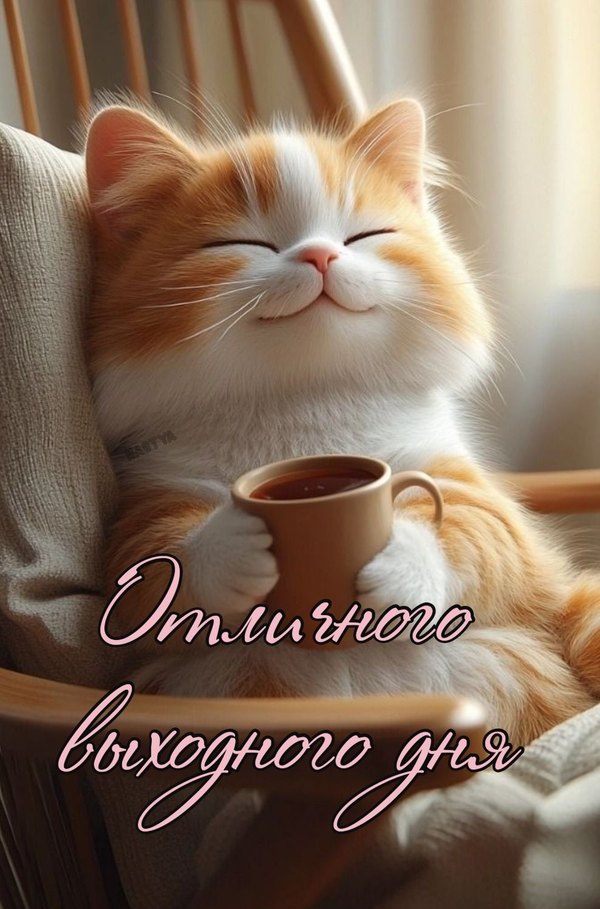 Изображение №19 988x1497 «Отличного выходного дня!» из коллекции «Открытки «Хорошего дня!»»